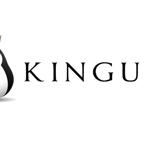 Code de réduction KINGUIN